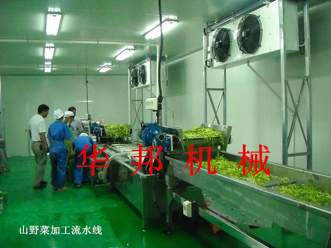 山野菜加工流水線1111111