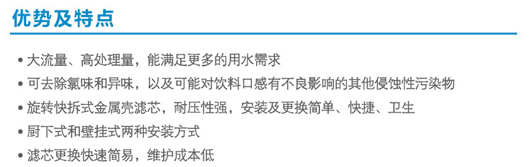 美國進口愛惠浦（Everpure）BH2 雙聯凈水器 過濾系統 商用