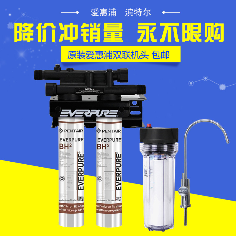 美國進口愛惠浦（Everpure）BH2 雙聯凈水器 過濾系統 商用