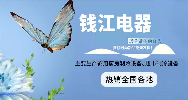 錢江四門廚房冰柜 雙溫商用全不銹鋼冰箱 冷藏冷凍立式冷柜批發