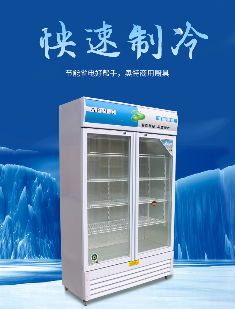 雙門冷藏保鮮柜立式超市冷飲飲料柜 商用展示柜冷柜冰柜