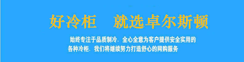 2017新品紅酒保鮮柜商用冰箱雙門木紋單溫酒柜 立式冷藏柜冷柜