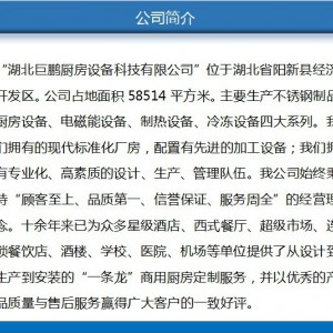 商用不銹鋼雙門高身冷凍柜 臥式廚房冷柜 可批發訂制 廠家直銷