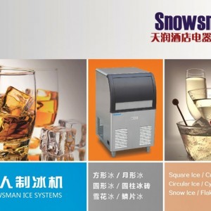 Snowsman雪人AP-1T片冰機 1噸魚鱗冰 超市片冰機