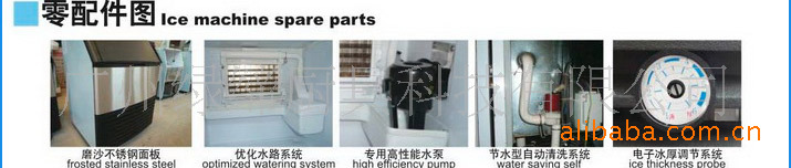 綠締ZB-80B 商用制冰機 運行狀況實時顯示 冰厚可調(diào) 冰塊更透明