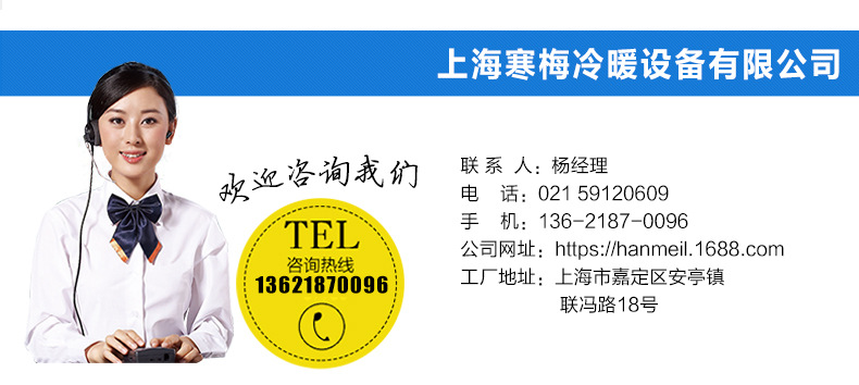 廠家直銷大型冰磚機(jī)塊冰機(jī)條冰機(jī)高效能商用片冰制冰機(jī)