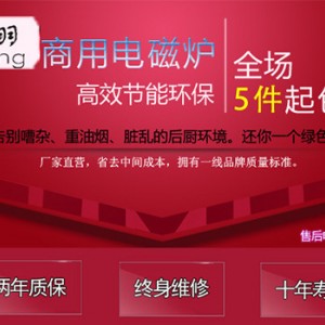 商用灶爐 不銹鋼廚房設備 現(xiàn)貨直銷煮湯煲飯專用電磁雙眼炒爐